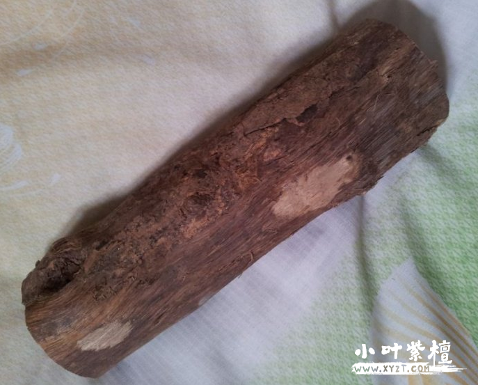 > tag信息列表 > 什么是紫檀柳